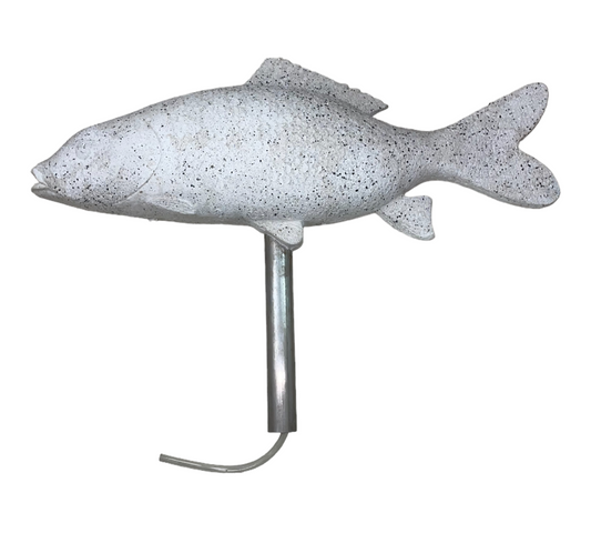 Fish - well