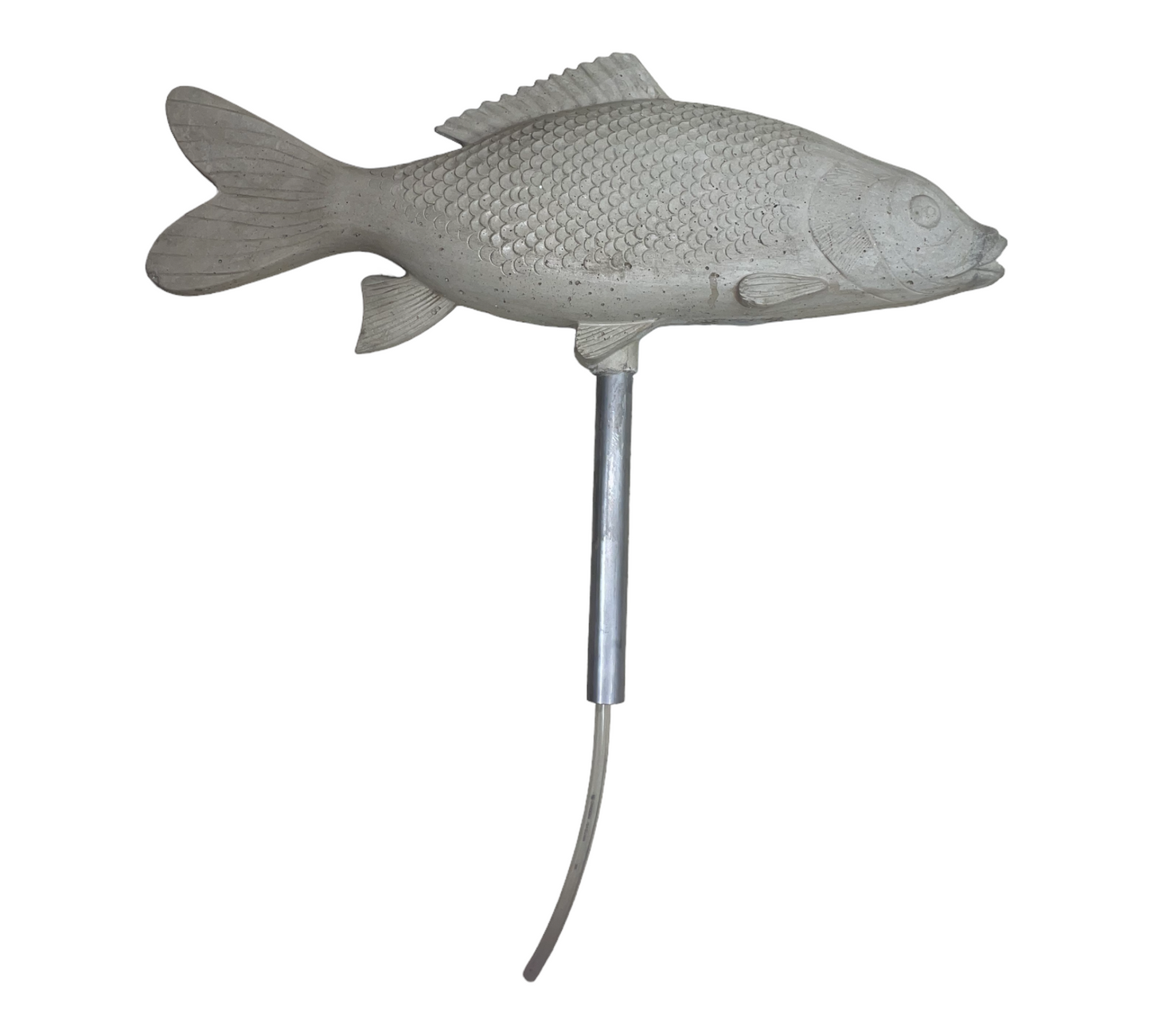 Fish - well