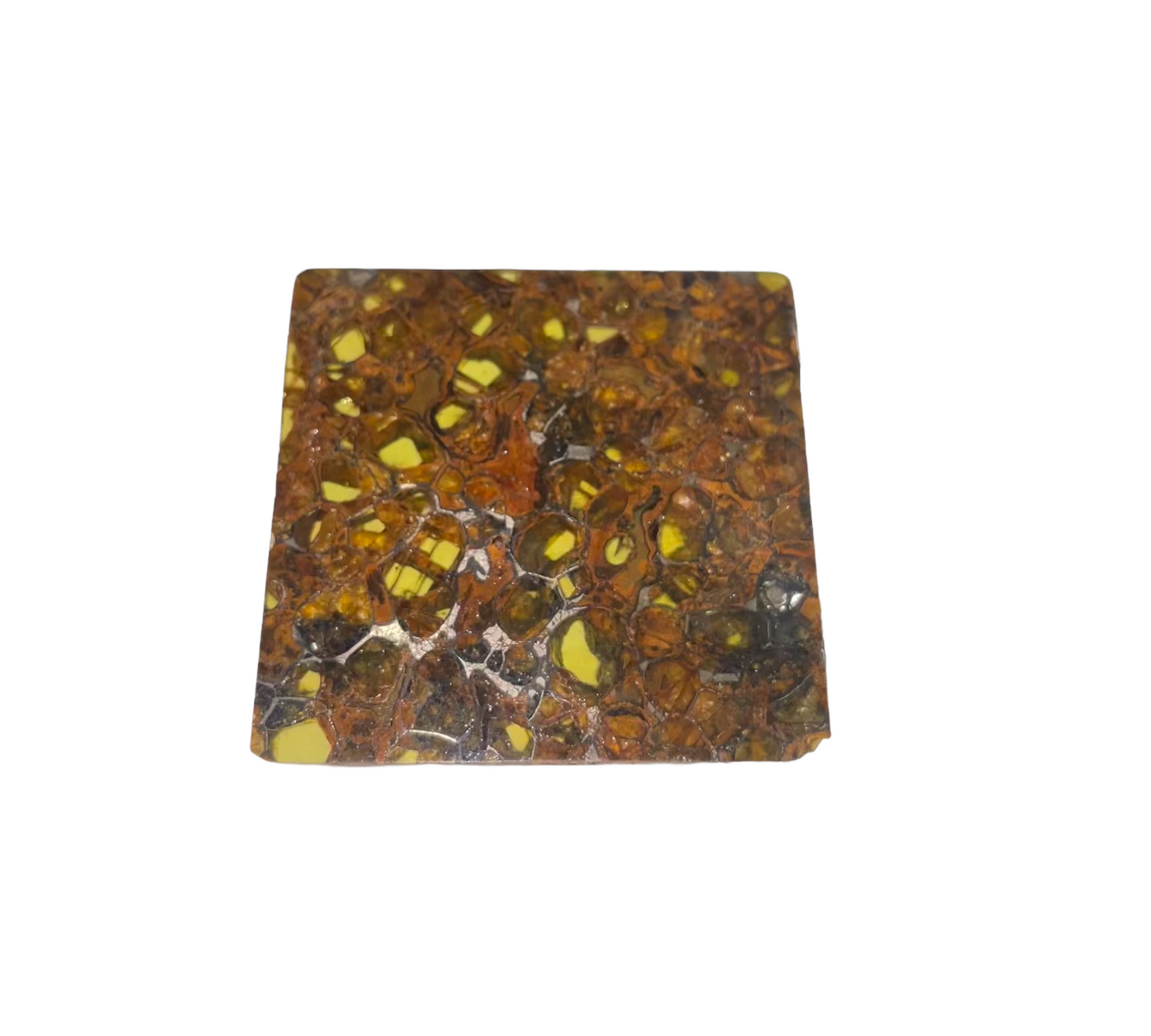Pallasite - skífa