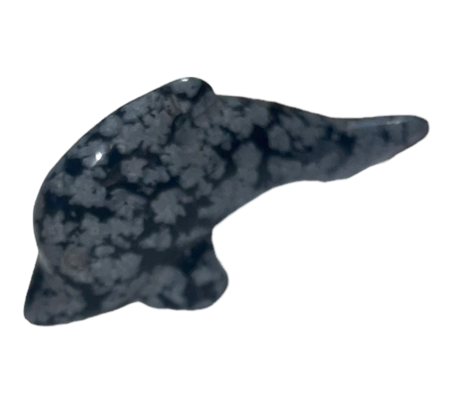 Dolphins - Necklace