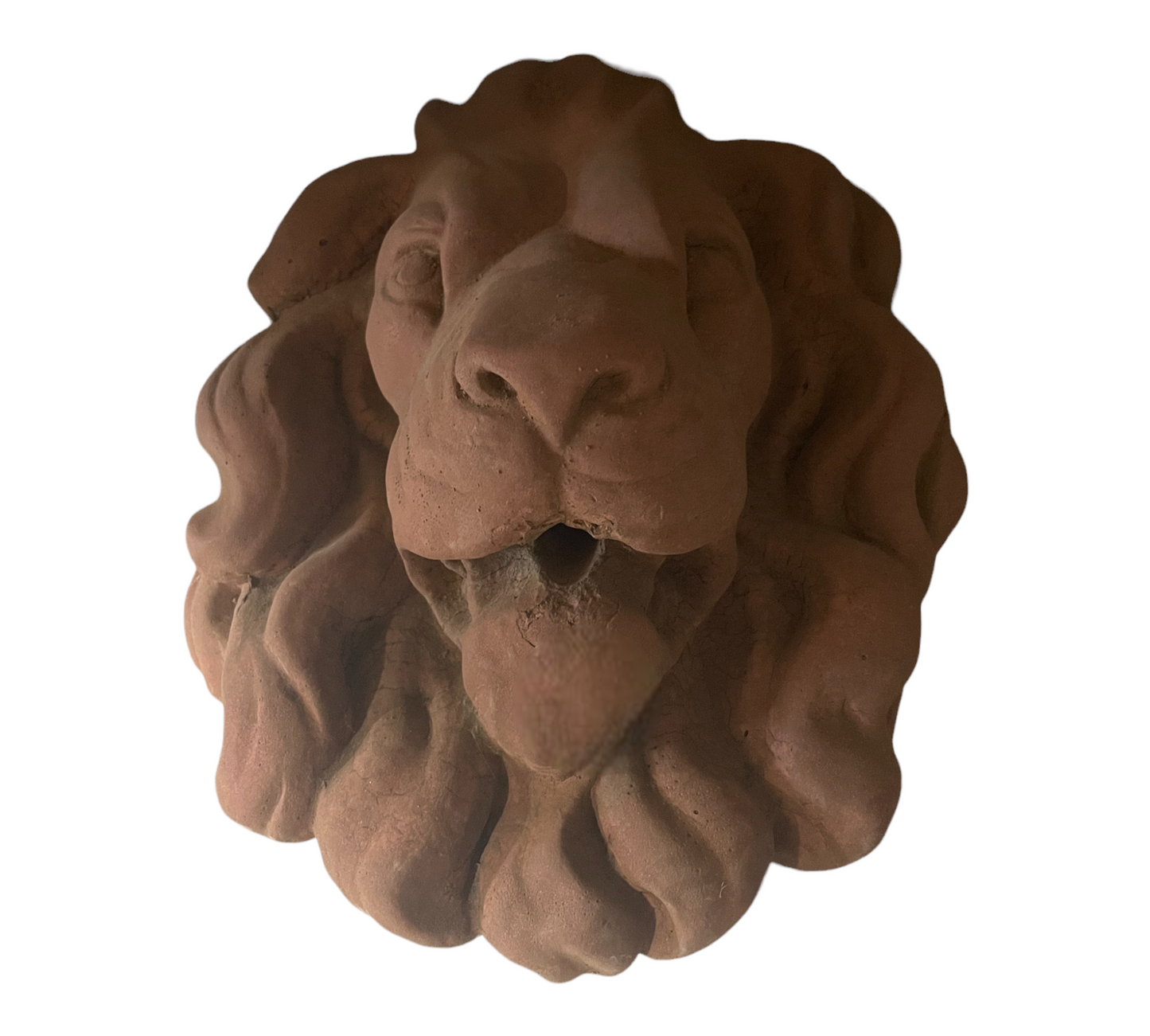 Lion's head