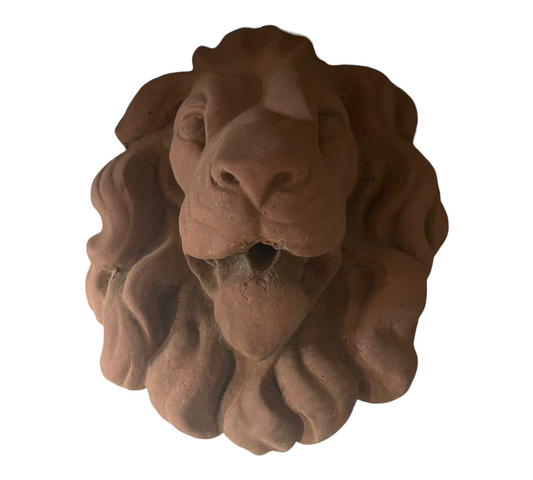 Lion's head