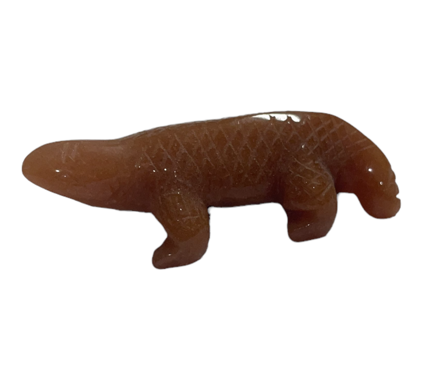 Small animal - Lizard