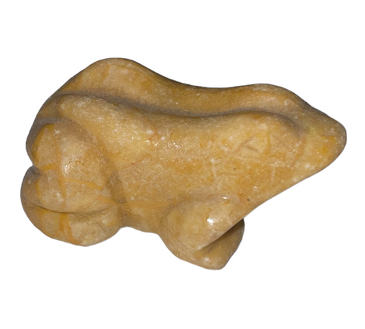 Small animal - frog