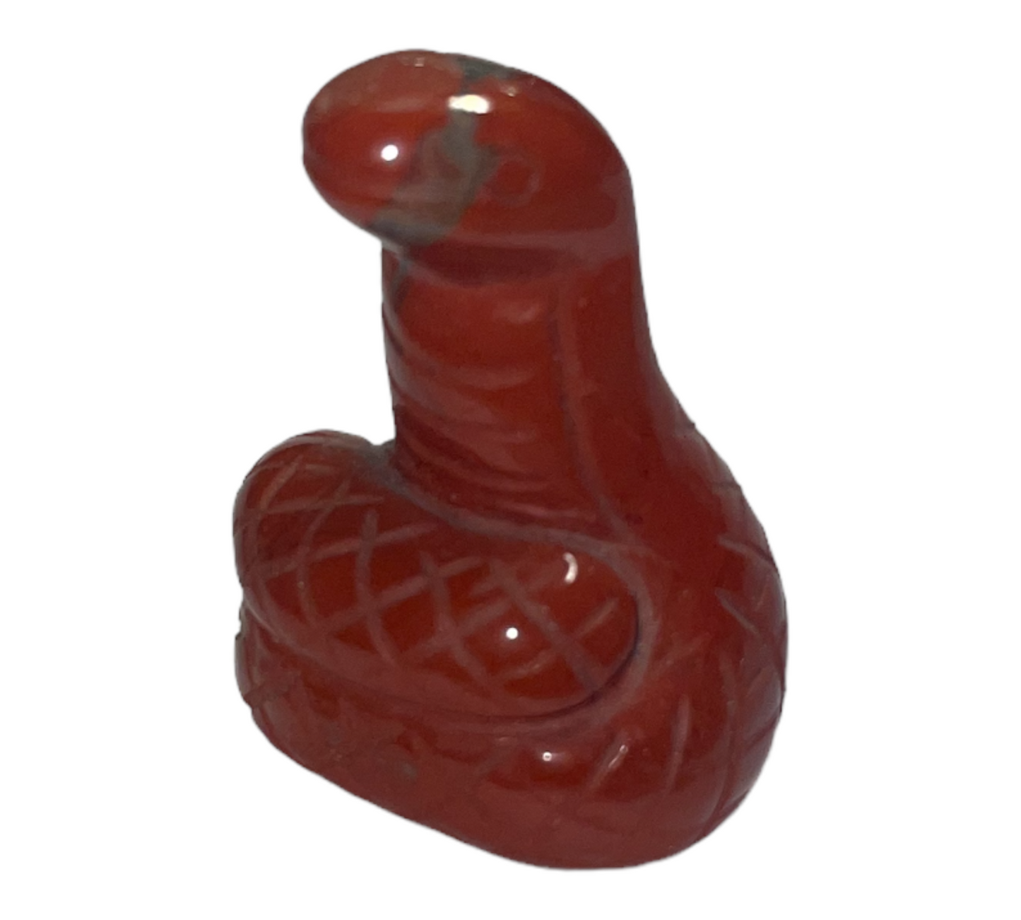 Small animal - Snake