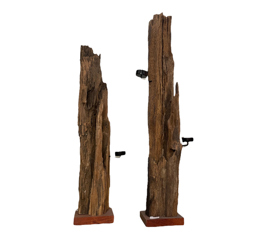 Teak