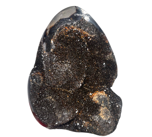 Septarian dökkur - freeform (egg)