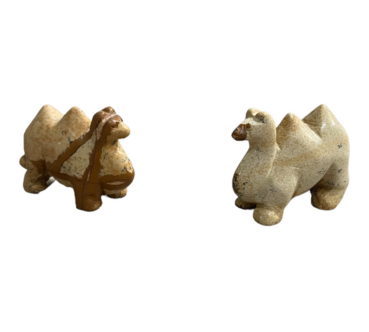 Small animals - camels