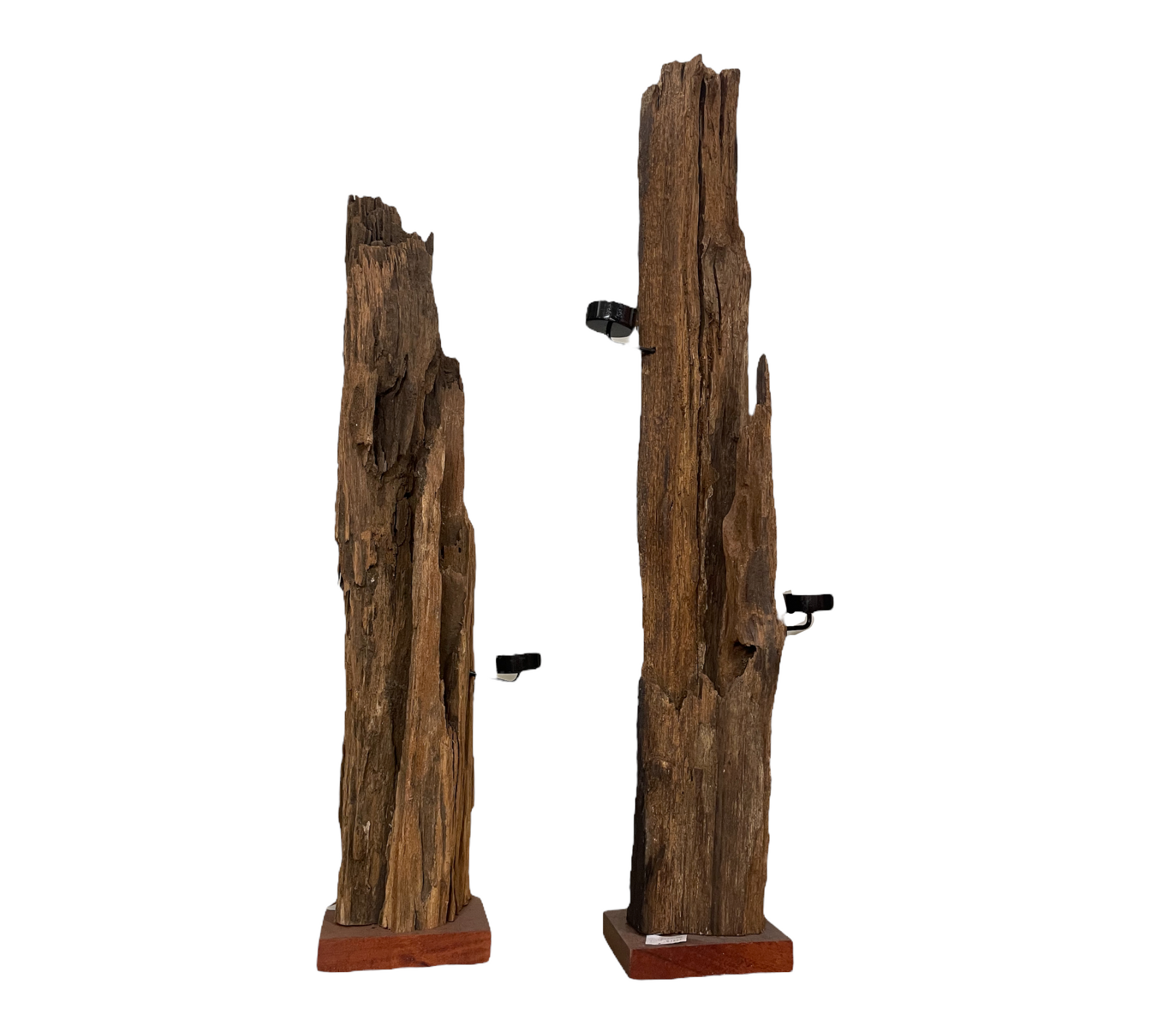 Teak 